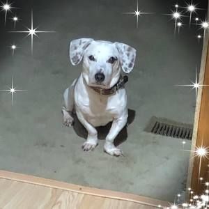 Meet your Posher, Cheri